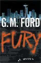 Cover of Fury