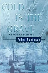 Cover of Cold is the grave