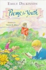 Cover of Poems for youth