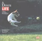 Cover of A dog's life