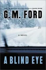 Cover of A blind eye
