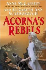 Cover of Acorna's rebels