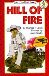 Cover of Hill of Fire