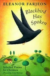 Cover of Blackbird Has Spoken