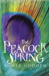 Cover of The Peacock Spring