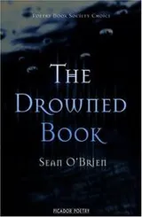 Cover of The drowned book