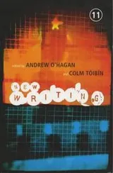 Cover of Picador New Writing