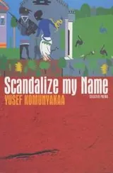 Cover of Scandalize my name