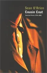 Cover of Cousin Coat