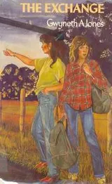 Cover of The Exchange