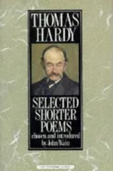 Cover of Selected Shorter Poems