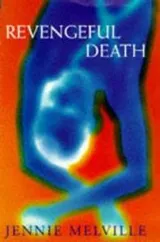 Cover of Revengeful Death