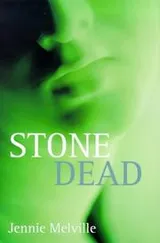 Cover of Stone Dead