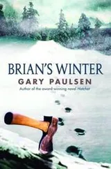 Cover of Brian's Winter