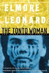 Cover of The Tonto woman and other western stories
