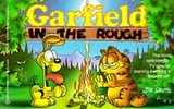 Cover of Garfield in the Rough