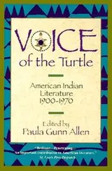 Cover of Voice of the Turtle