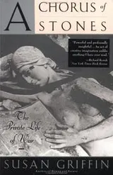 Cover of A Chorus of Stones