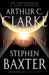 Cover of Firstborn