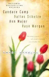 Cover of Small Wonders