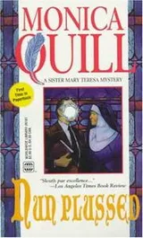 Cover of Nun plussed