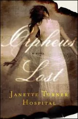 Cover of Orpheus Lost