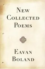 Cover of New collected poems
