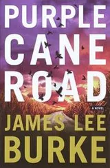 Cover of Purple cane road