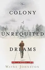 Cover of The Colony of Unrequited Dreams