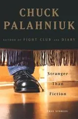Cover of Stranger Than Fiction