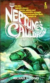 Cover of Neptune's Cauldron