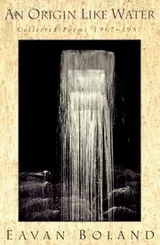 Cover of An Origin Like Water