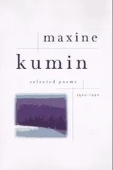 Cover of Selected poems, 1960-1990