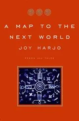 Cover of A Map to the Next World