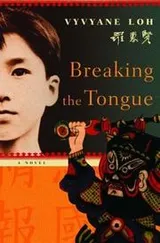Cover of Breaking the Tongue