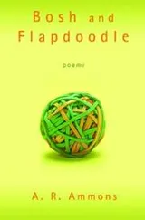 Cover of Bosh and Flapdoodle