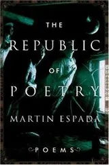 Cover of The Republic of Poetry