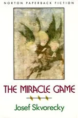 Cover of The miracle game