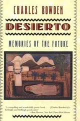 Cover of Desierto