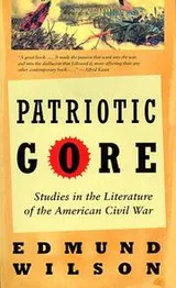 Cover of Patriotic gore