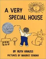 Cover of A very special house