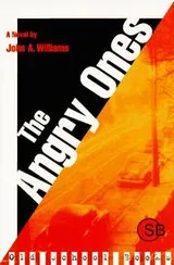 Cover of The angry ones