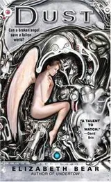Cover of Dust