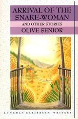 Cover of Arrival of the Snake-Woman and Other Stories