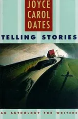 Cover of Telling Stories