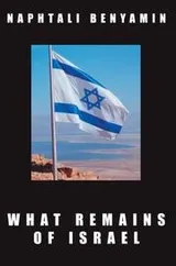 Cover of What Remains of Israel