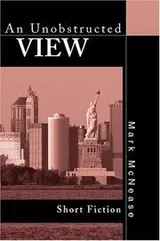 Cover of An Unobstructed View