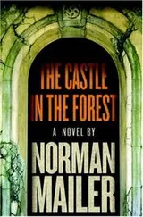 Cover of The Castle in the Forest