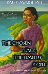 Cover of The chosen place, the timeless people