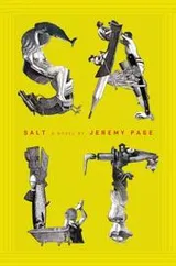Cover of Salt